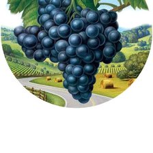 Схема вышивки «Виноград»