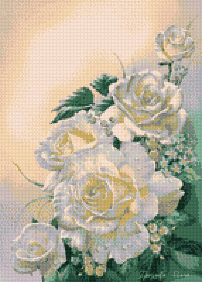 белые розы - розы - предпросмотр