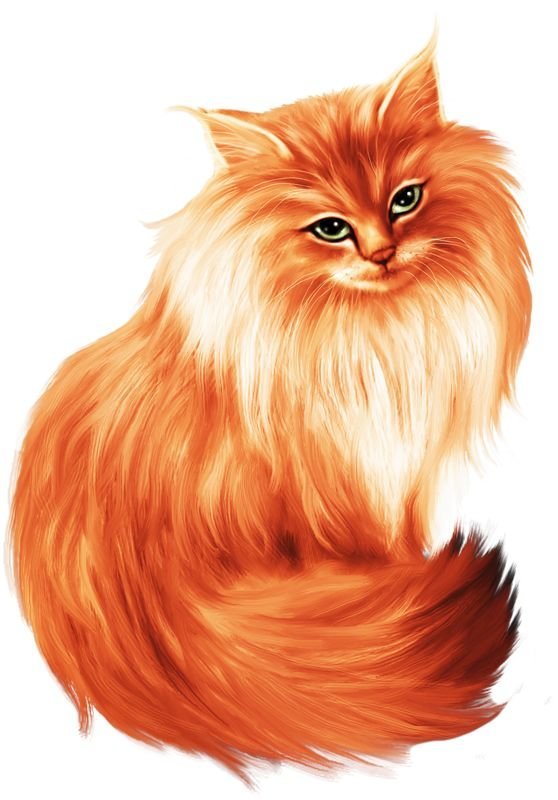 №1704950 - кот, кошка - оригинал