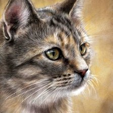 Схема вышивки «Котик»