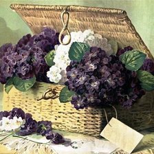 Схема вышивки «№1705104»