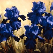 Схема вышивки «№1705178»