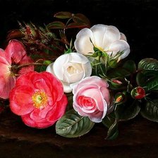 Схема вышивки «№1705209»