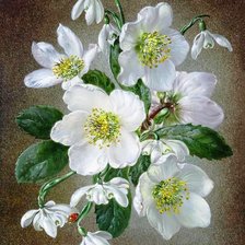 Схема вышивки «№1705219»