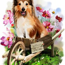 Схема вышивки «№1705413»