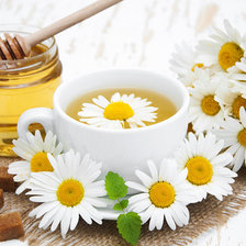 Схема вышивки «ромашковый чай»