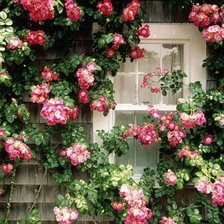 Схема вышивки «Сказочный домик»