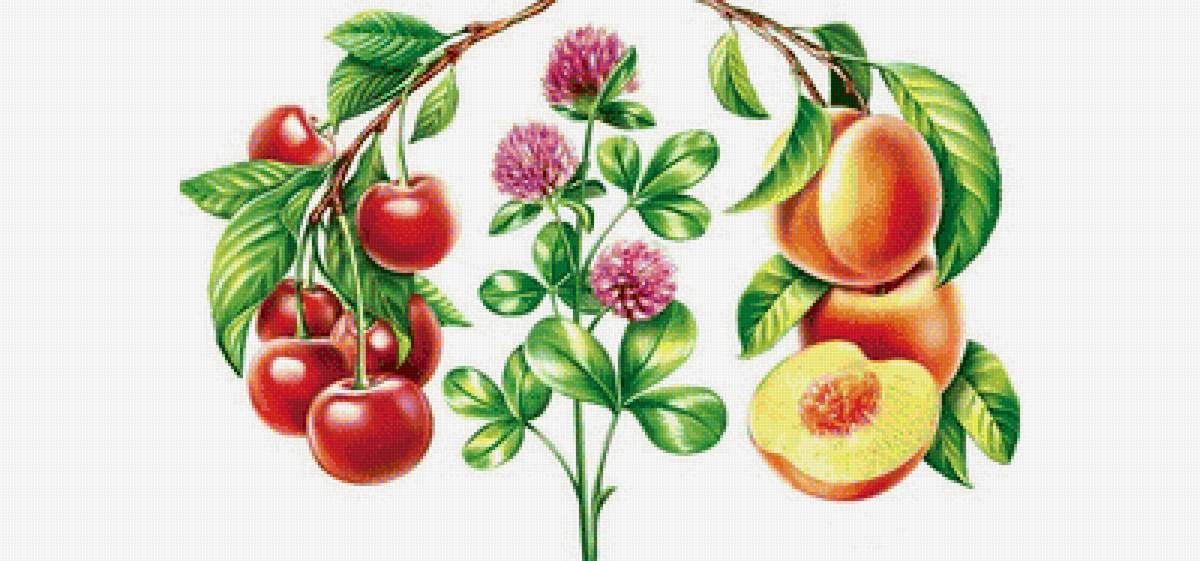 Для кухни - предпросмотр