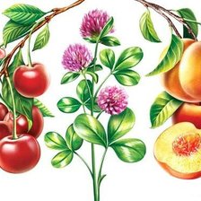 Схема вышивки «Для кухни»