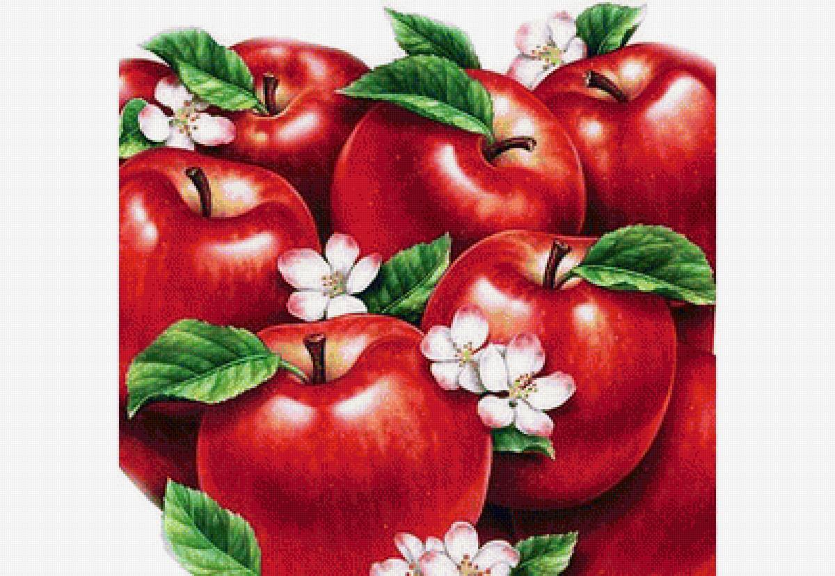 Яблоки - фрукты - предпросмотр