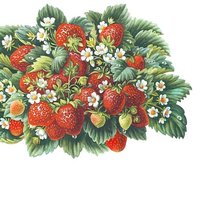 Схема вышивки «№1705891»