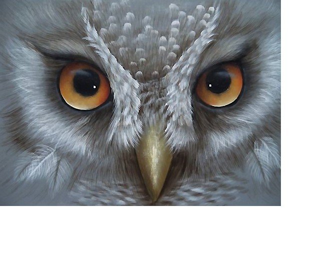 №1706021 - оригинал