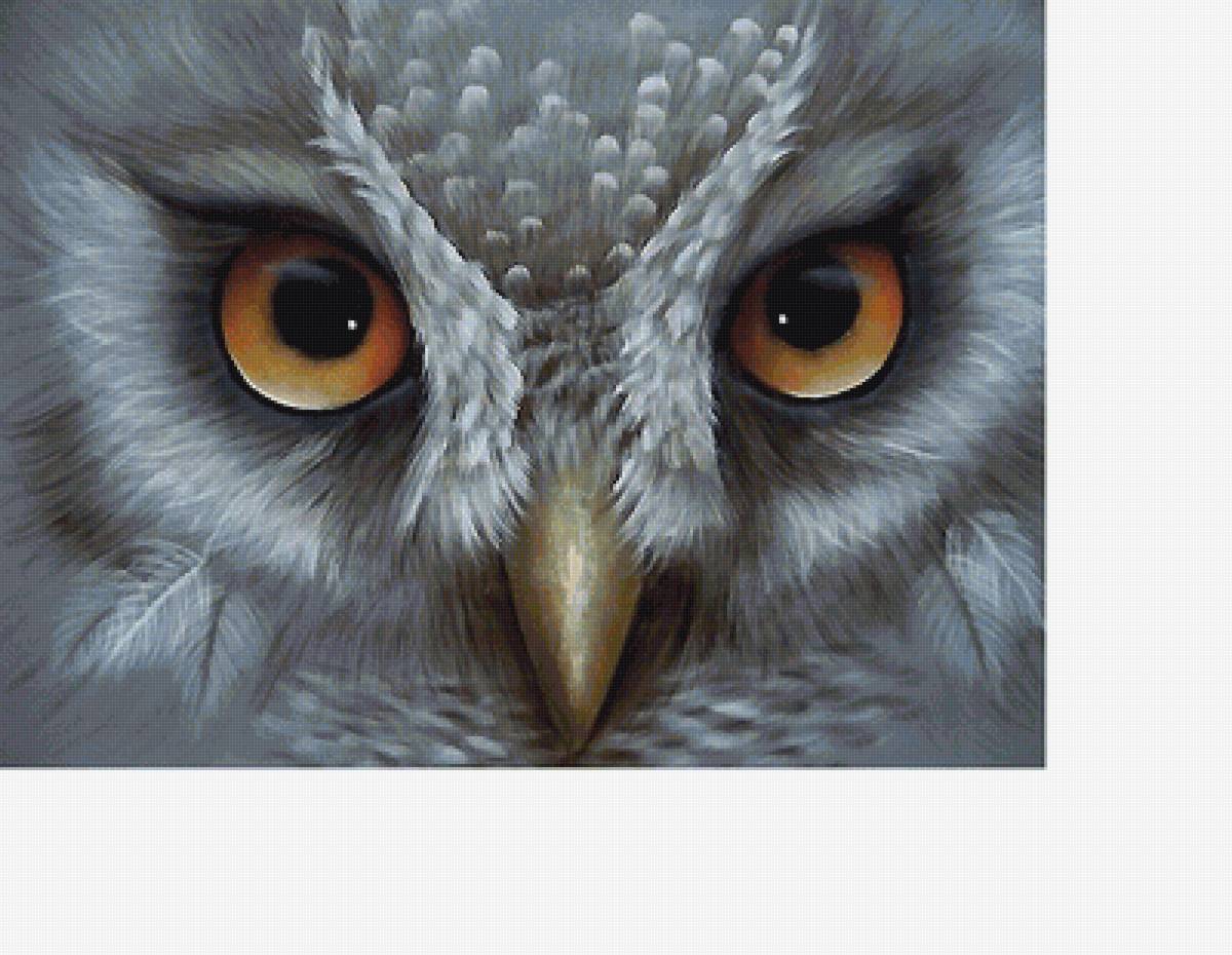 №1706021 - предпросмотр