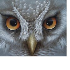 Схема вышивки «№1706021»