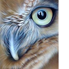 Схема вышивки «№1706194»