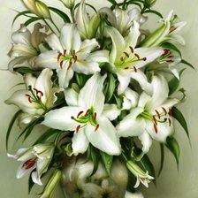 Схема вышивки «№1706284»