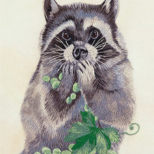 Схема вышивки «симпатяшка енот»