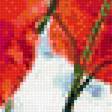 Предпросмотр схемы вышивки «маки» (№1706476)
