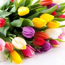 Схема вышивки «букет тюльпанов»