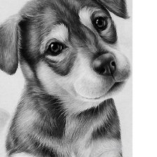 Схема вышивки «№1706644»