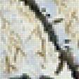 Предпросмотр схемы вышивки «синицы» (№1706789)