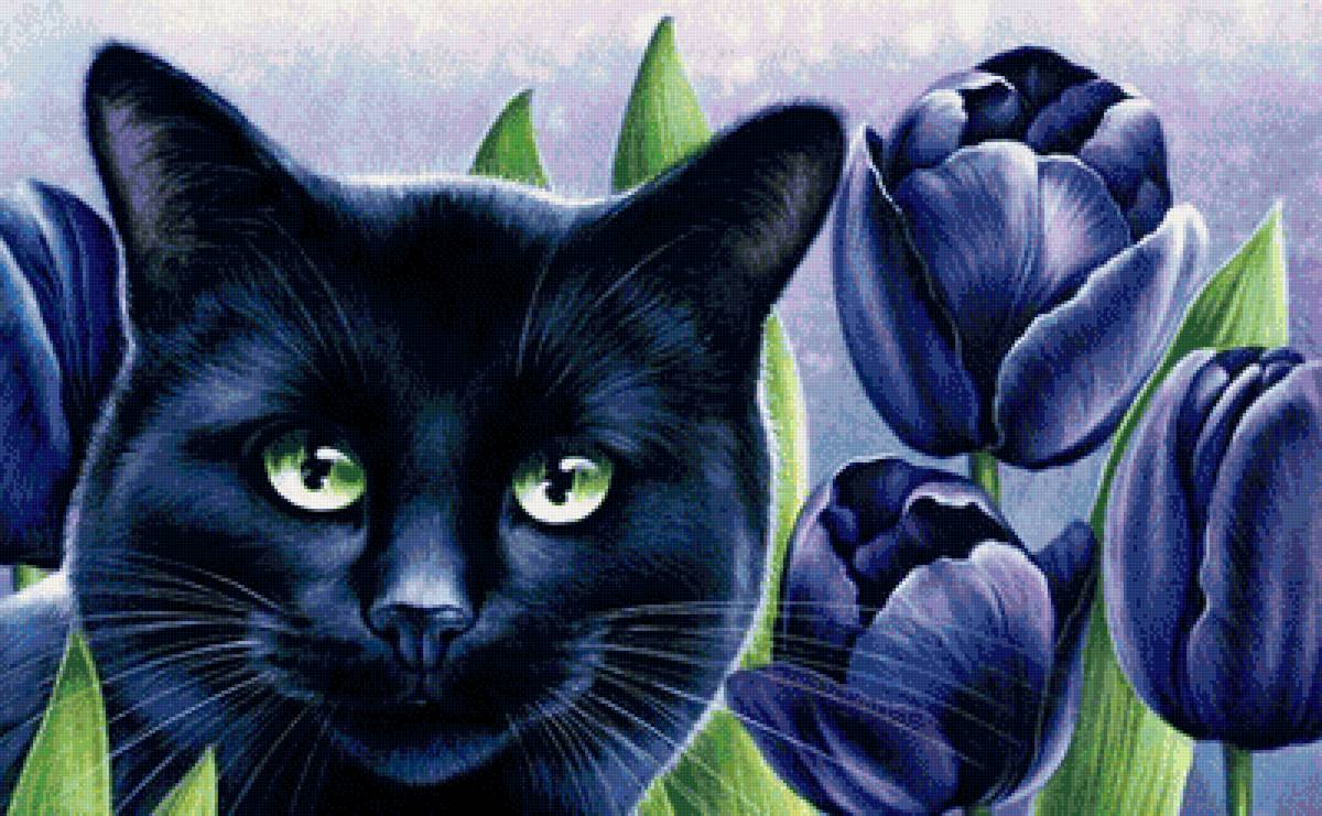 №1706951 - кот, кошка - предпросмотр