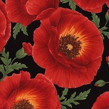 Схема вышивки «Маки»