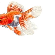 Схема вышивки «№1707159»