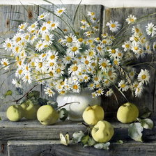 Схема вышивки «Ромашки»