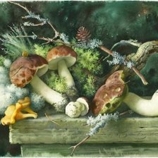 Схема вышивки «Грибы»