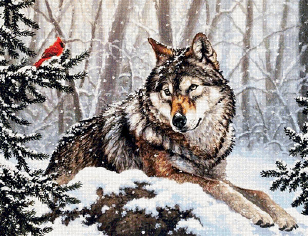 волк - зима, животные, живопись - предпросмотр