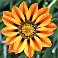 Схема вышивки «Цветок»