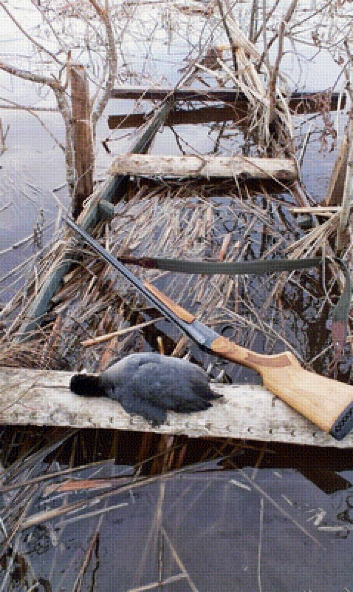 весенняя охота - ружье, охота, утка - предпросмотр