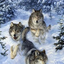 Схема вышивки «волки»