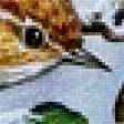 Предпросмотр схемы вышивки «птицы» (№1707659)