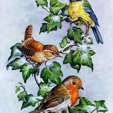 Схема вышивки «птицы»