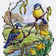 Схема вышивки «птицы»