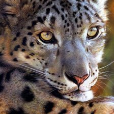 Схема вышивки «барс»