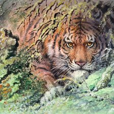 Схема вышивки «№1707707»