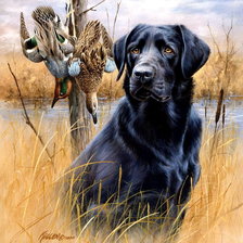 Схема вышивки «№1707784»