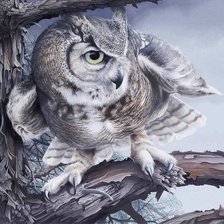 Схема вышивки «Сова (филин)»