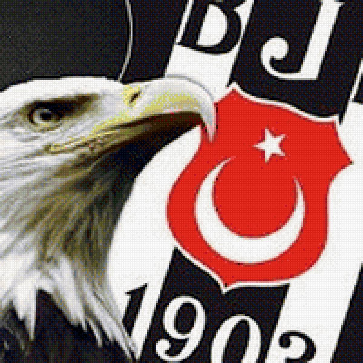 бешикташ - футбол - предпросмотр