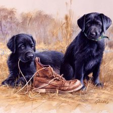 Схема вышивки «№1708237»