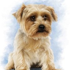 Схема вышивки «№1708239»