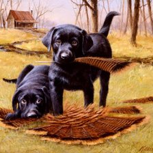 Схема вышивки «№1708243»