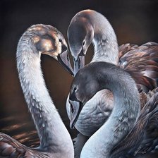 Схема вышивки «№1708483»