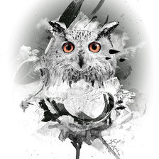 Схема вышивки «Черно-белая Сова»