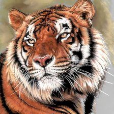 Схема вышивки «№1708584»