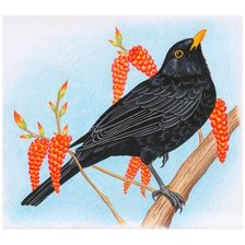 Схема вышивки «Грач»