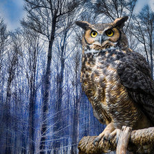 Схема вышивки «зимний лес»